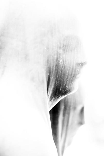Memories (06)